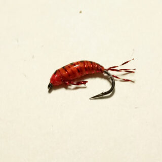 Мушка зимова