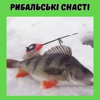 Рибальські снасті